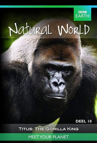 Titus: The Gorilla King (2008) poster
