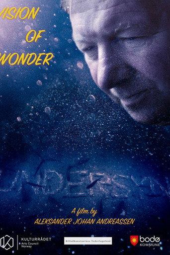 Vision of Wonder (2017) poster