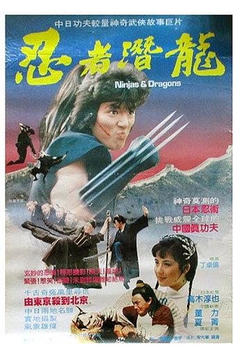 Ninjas and Dragons (1984) poster