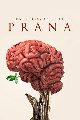 Patterns of life: Prana (2021) poster