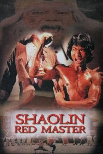 Shaolin Tough Kid (1978) poster