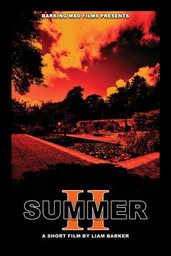 SUMMER II () poster