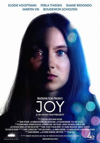 Joy (2019) poster