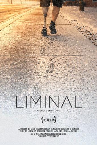 Liminal (2026) poster