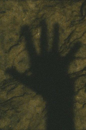 The Human Torch (2007) poster