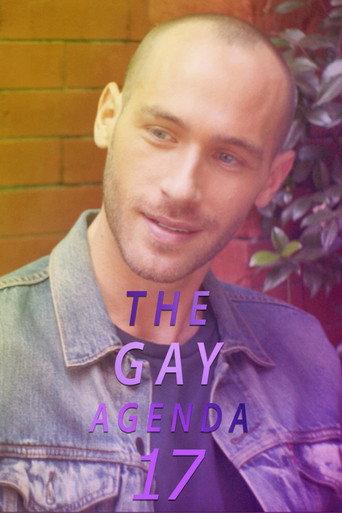 The Gay Agenda 17 () poster