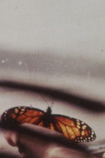 The Butterfly (1976) poster