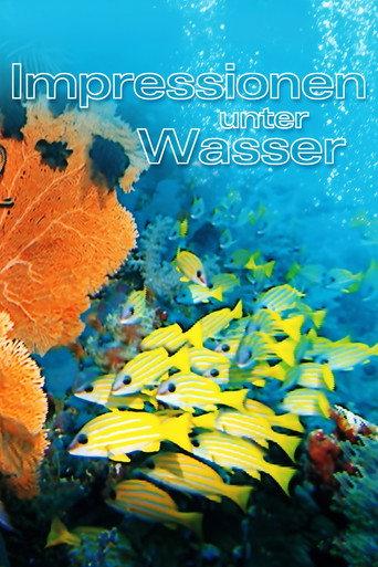 Underwater Impressions (2002) poster