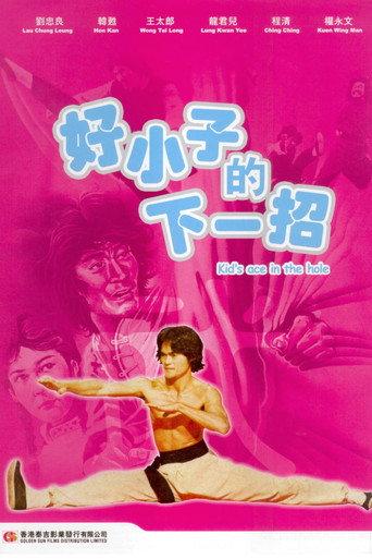 Fighting Ace (1979) poster