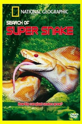 Search For the Supersnake () poster