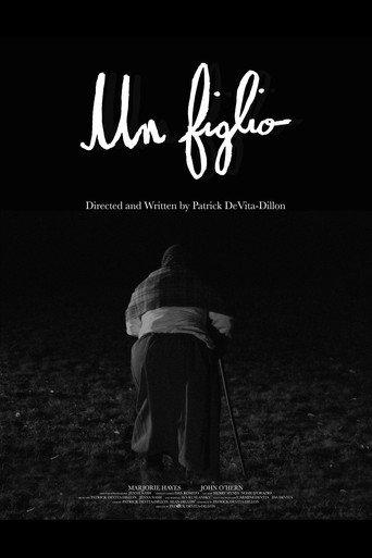 Un Figlio () poster
