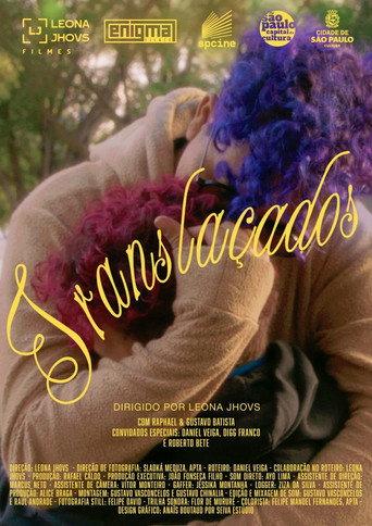 Translaçados (2026) poster