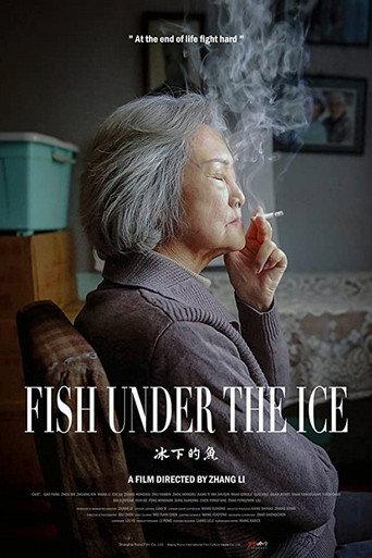 Fish Under the Ice (2024) poster