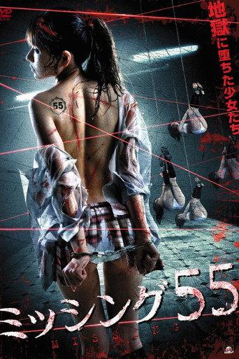 Missing 55 (2011) poster