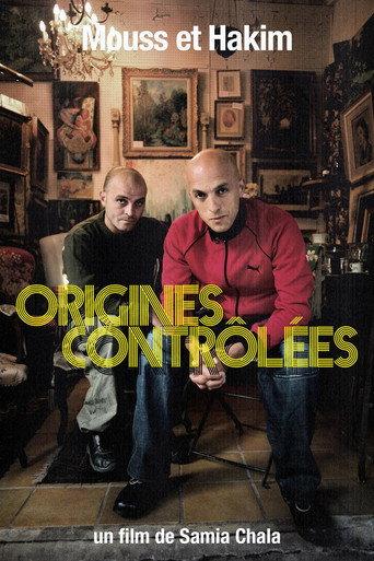 Mouss et Hakim,  controled origins (2011) poster