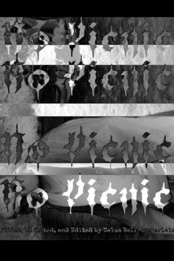 No Picnic () poster