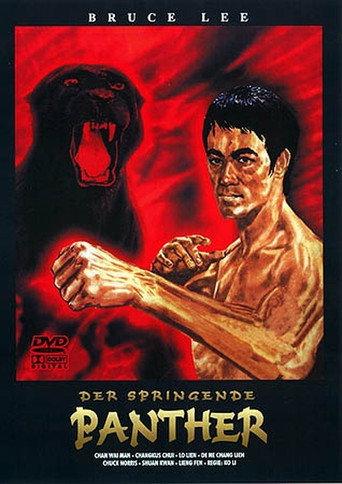 The Fist of Justice (1973) poster