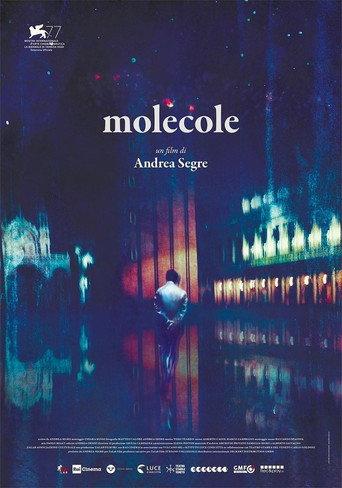 Molecules (2020) poster