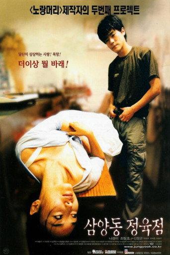 Butcher's Wife (1999) poster