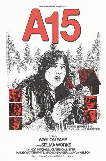 A15 (2026) poster