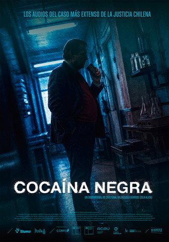 Black Cocaine (2026) poster