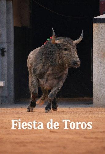 Fiesta de toros (1909) poster