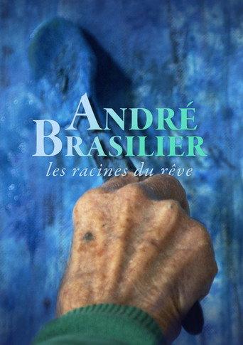 André Brasilier: Where dreams come from (2023) poster