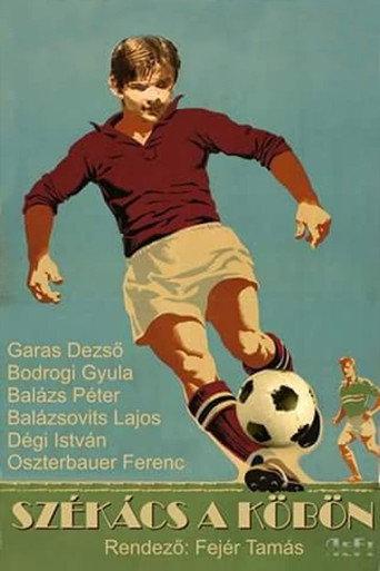 Székács a köbön (1978) poster