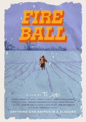 FIREBALL () poster