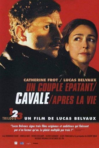 On the Run (2003) poster