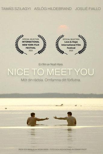 Nice to Meet You (2026) poster