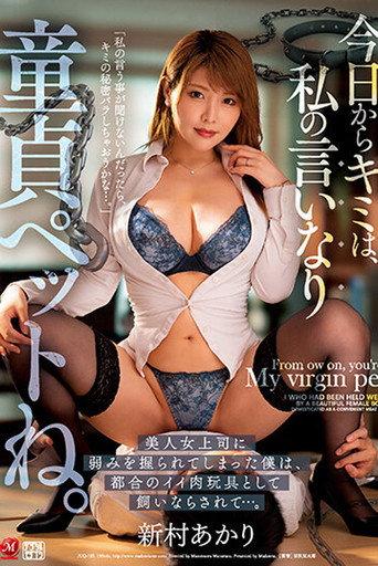今日からキミは、私の言いなり童貞ペットね。 美人女上司に弱みを握られてしまった僕は、都合のイイ肉玩具として飼いならされて…。 新村あかり (2023) poster