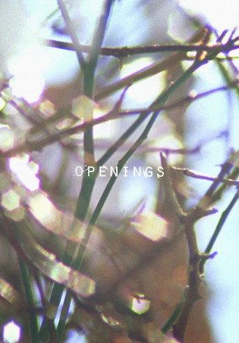 Openings (2016) poster