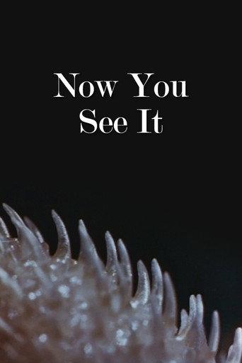 Now You See It (1947) poster