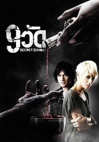 Secret Sunday (2010) poster