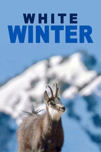 White Winter (2022) poster