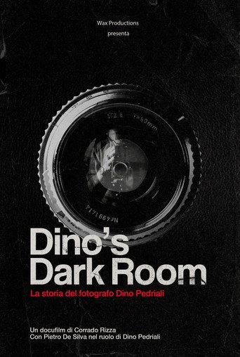 Dino's dark room () poster