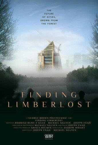 Finding Limberlost () poster
