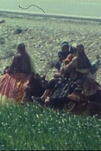Qashqai Kilim (1981) poster