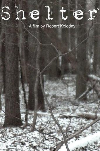 Shelter (2010) poster