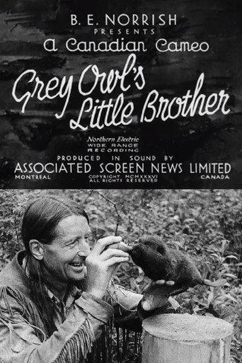 Grey Owl's Little Brother (1932) poster