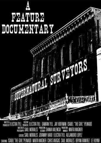 Supernatural Surveyors () poster