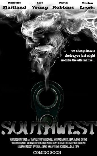 Southwest (2013) poster