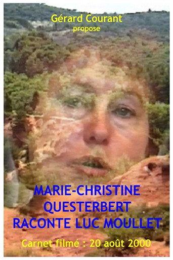 Marie-Christine Questerbert raconte Luc Moullet (2013) poster
