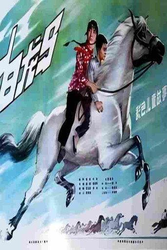 白龙马 (1981) poster