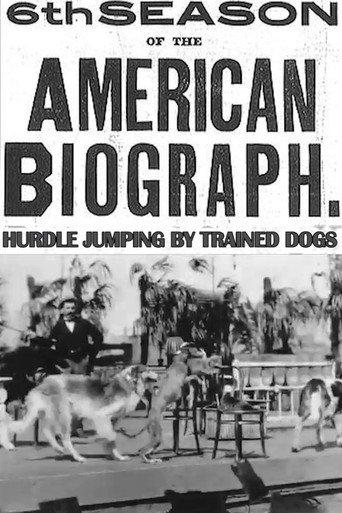 Hurdle Jumping; by Trained Dogs (1899) poster