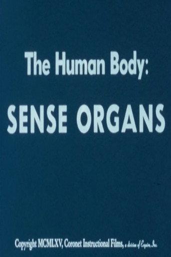 The Human Body: Sense Organs (1965) poster