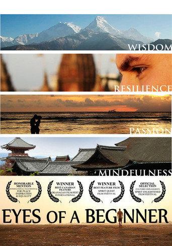 Eyes of a Beginner (2013) poster