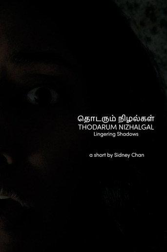 Lingering Shadows (2025) poster