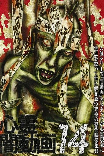 Psychic Darkness Video 14 (2016) poster
